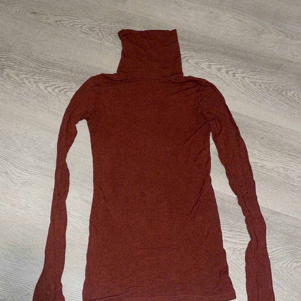 Aritzia Wilfred Turtleneck top